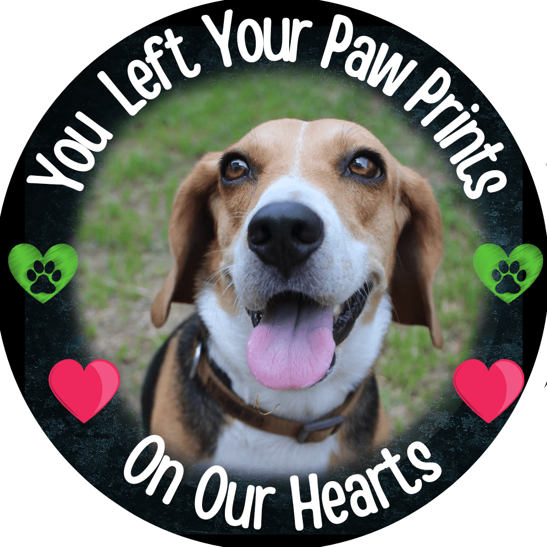 Left Your Paw Prints Circle Memorial Necklace (Draft) - Resting Angels