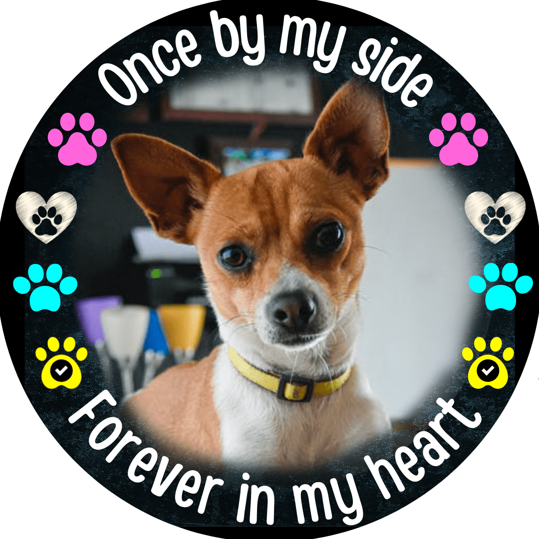 Once By My Side Pet Circle Memorial Keychain - Resting Angels