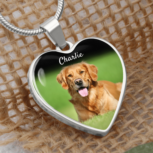 Unbroken Bond Pet Memorial Heart Necklace