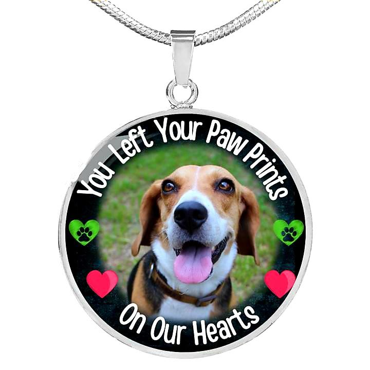 Left Your Paw Prints Circle Memorial Necklace (Draft)