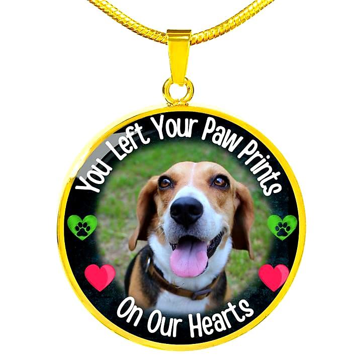Left Your Paw Prints Circle Memorial Necklace (Draft)