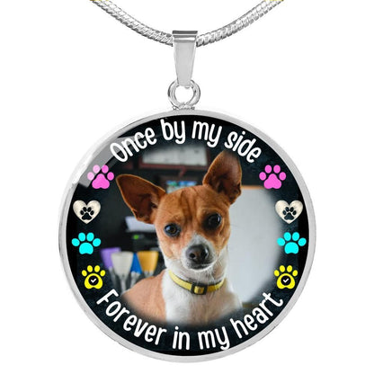 By-My-Side Pet Circle Memorial Necklace