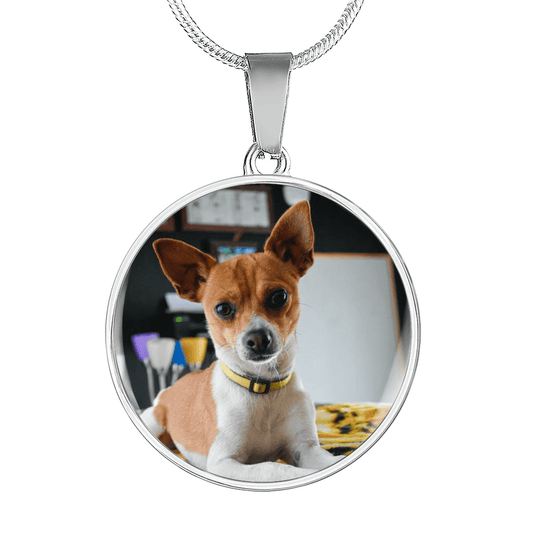 Pet Photo Engraved Necklace Circle Memorial Gift